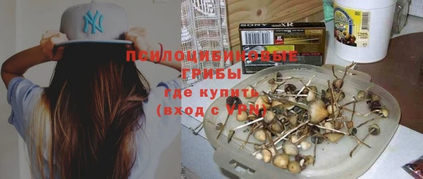 СК Алексеевка