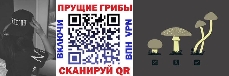 Псилоцибиновые грибы мицелий  Сосновка 