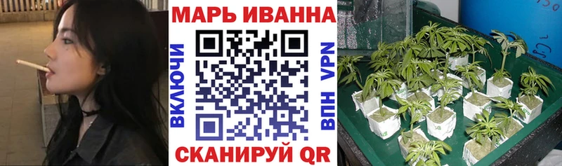 МАРИХУАНА сатива  Сосновка 